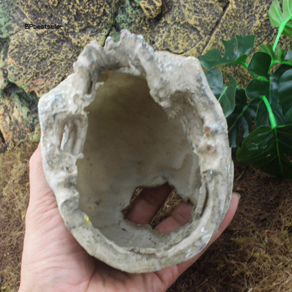 Mô hình đầu lâu bằng nhựa tạo hình trang trí bể cá độc đáo