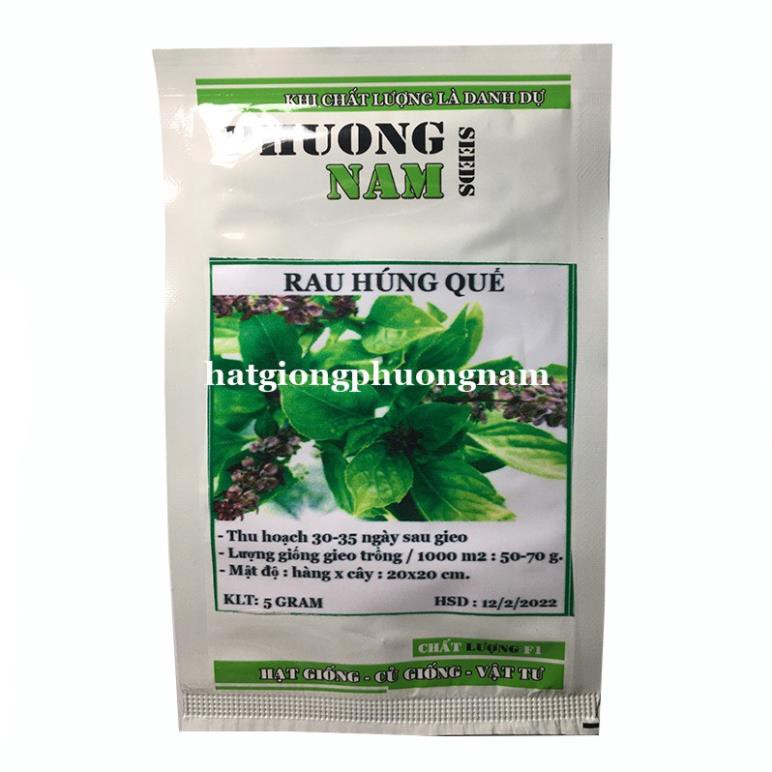 5GR - hạt giống rau thơm húng quế