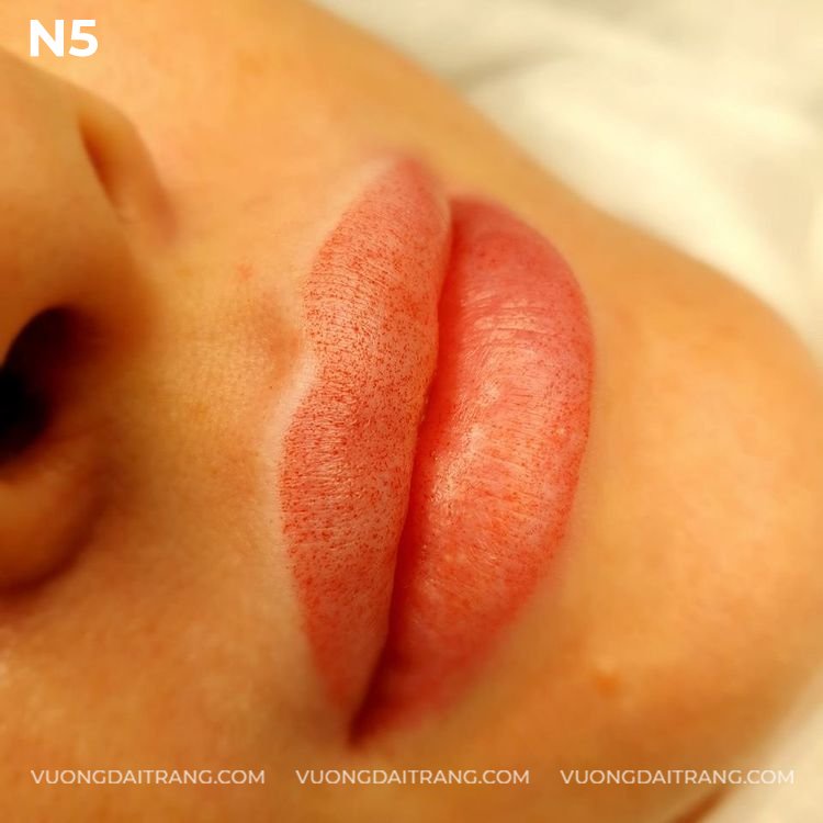 Mực Hanafy Môi Fullsize 10ml, Minisize 3,3ml