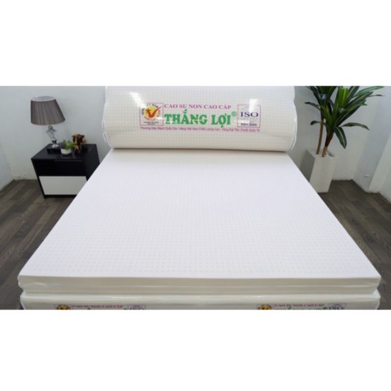 Nệm cao su non cao cấp Thắng Lợi chính hãng