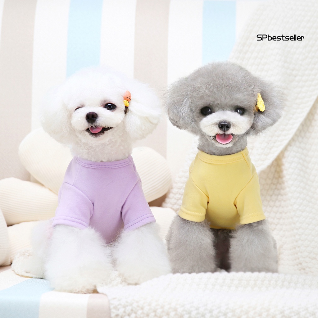 Trang phục hóa trang hình trái cây dễ thương thân thiện với da cho cún cưng