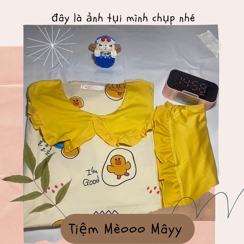 Đồ Ngủ 🌸Bộ Đồ Ngủ Nữ Ngắn Tay Xinh Xắn Cổ Bèo Mùa Hè Cute Phong Cách Hàn Quốc-Tiệm Mèoo Mâyy | BigBuy360 - bigbuy360.vn
