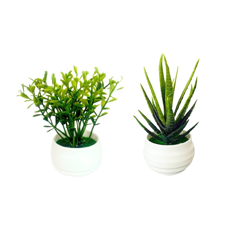 Chậu Cây Bonsai Giả Mini Bằng Nhựa Dùng Trang Trí Nhà Cửa / Văn Phòng