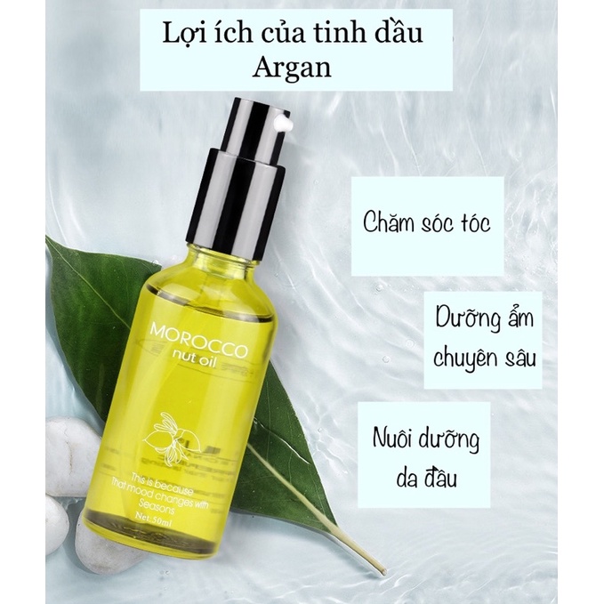 Tinh dầu dưỡng tóc Morocco dưỡng tóc uốn và phục hồi hư tổn