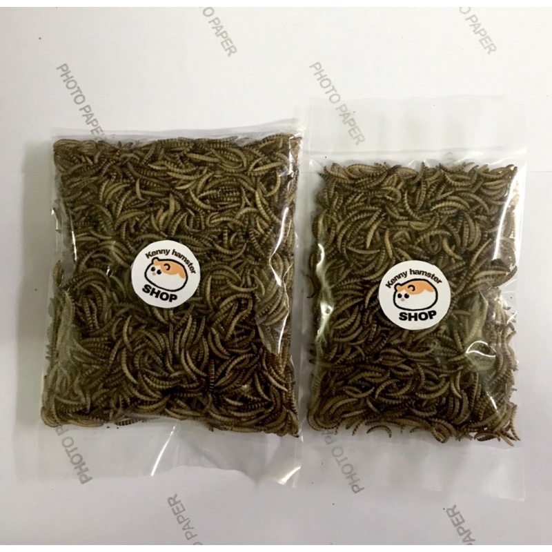 Sâu Gạo Sấy Khô Cho Hamster