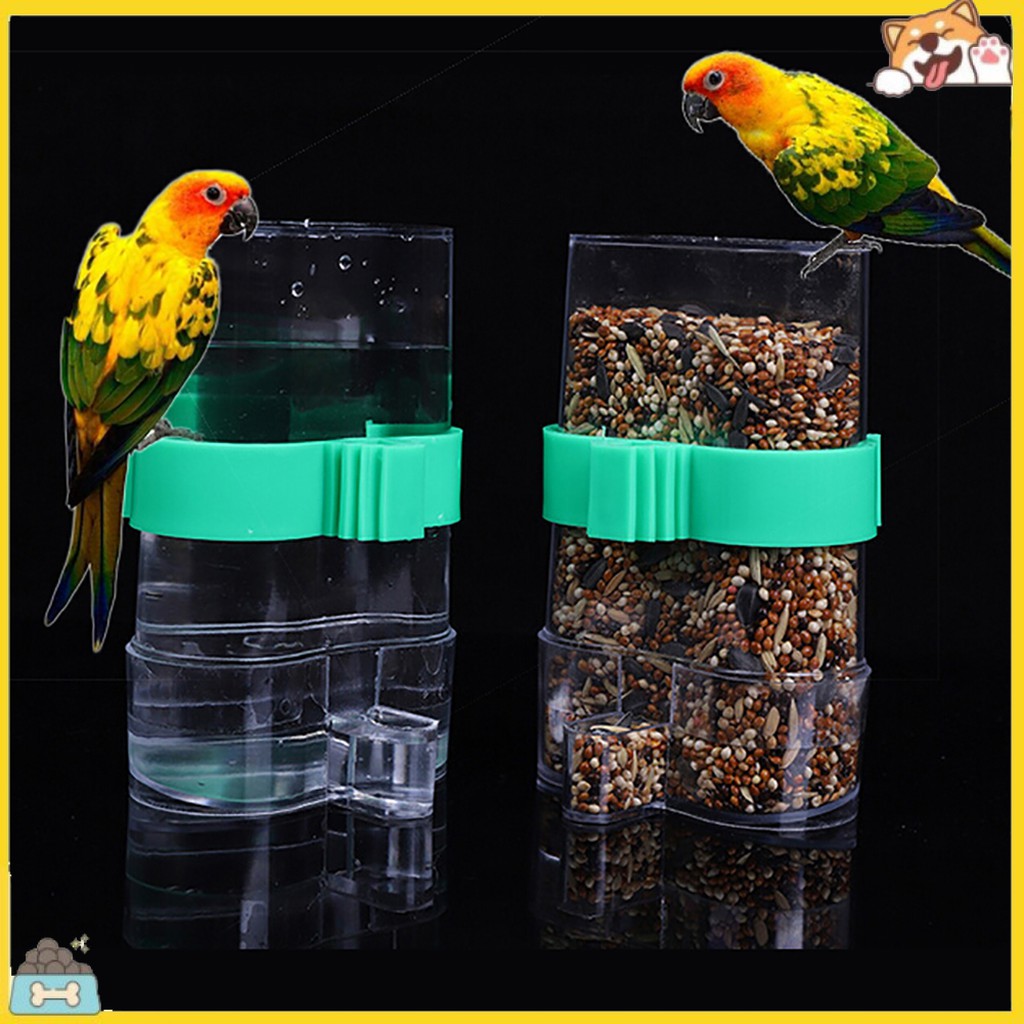 Dụng cụ cho chim ăn uống tự động tiện lợi
