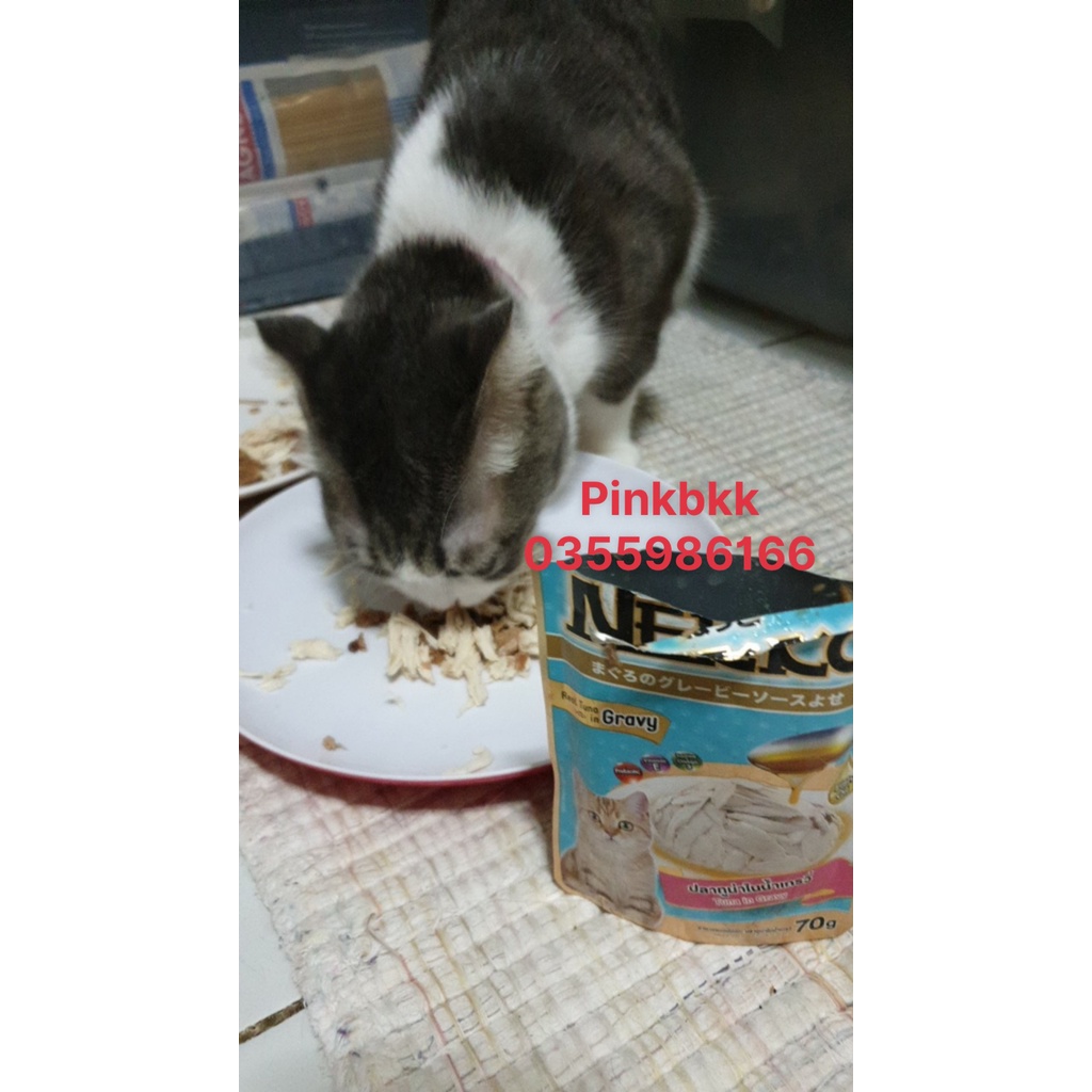 Pate mèo nekko⚡NỘI ĐỊA THÁI⚡nhập trực tiếp Thái Lan không qua trung gian