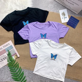 Áo croptop thun lụa hình bươm bướm