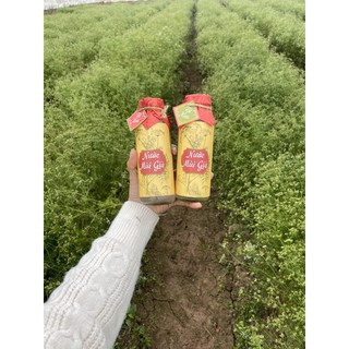 Nước Mùi Già