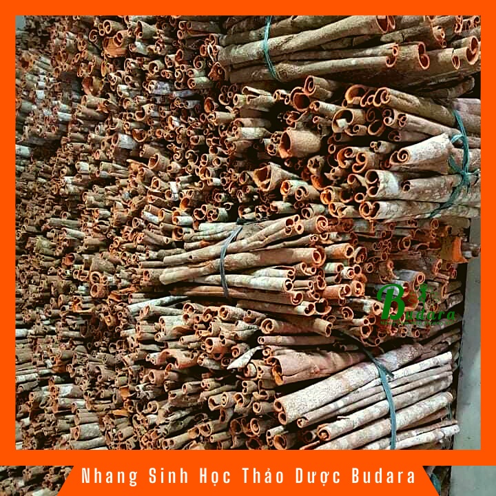 Nhang vỏ quế khâu, nhang sinh học từ cây thảo dược - Budara