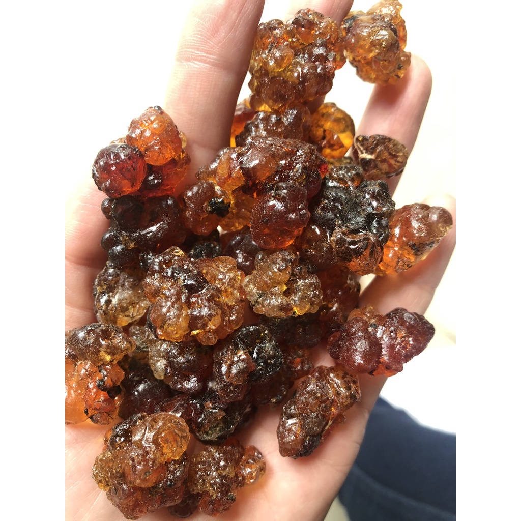 1kg Nhựa Đào Vân Nam thượng hạng