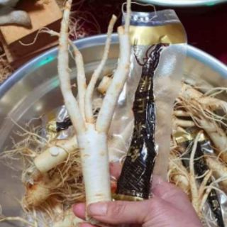 Hồng sâm thái lát tẩm mật ong
