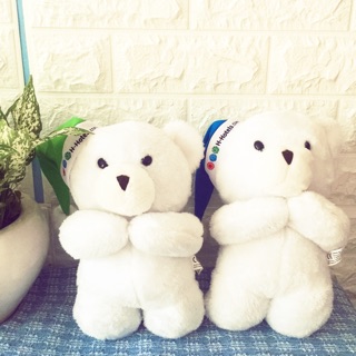 Gấu bông couple siêu cute