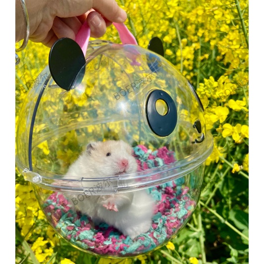 Lồng xách du lịch đi chơi gấu panda cho Hamster