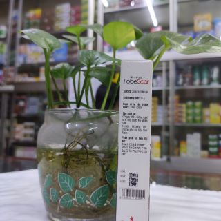 Fobescar gel mờ sẹo. 10g