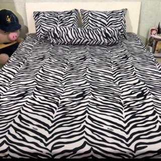 Drap thun hàn quốc