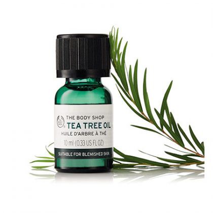 Tinh Dầu Tràm Trà Giảm Mụn The Body Shop Tea Tree Oil 10ml