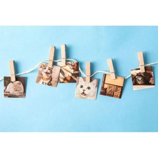 Bộ 46 Sticker Mèo Hàn Quốc dán trang trí E80