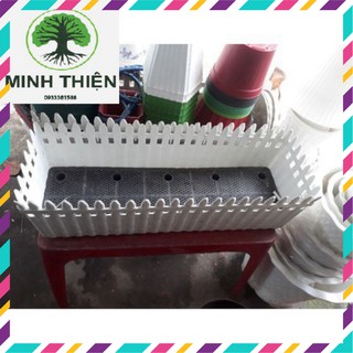 Combo 5 chậu nhựa hàng rào 45cm x 14cm x 12cm