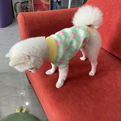 Áo len họa tiết quả trám màu tươi dành cho thú cưng