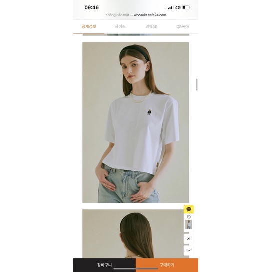 Áo thun gấu 4 màu