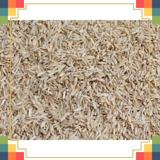 Trấu sống -500gr - trộn đất trồng cây trong chậu.