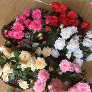 Com bo 6 hồng 1 bó xi