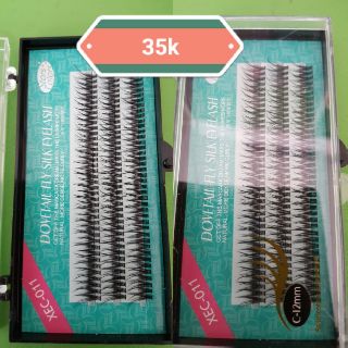 mi chùm đuôi én xec011