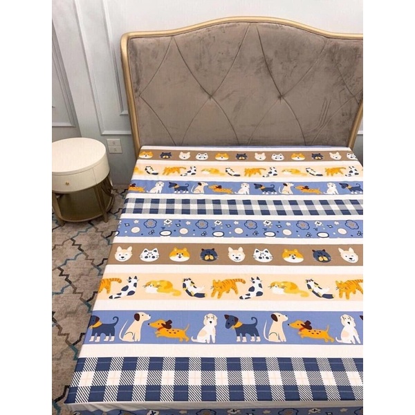 Drap chống thấm