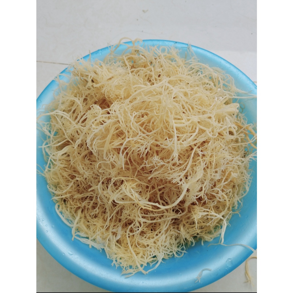 RONG CÂU CHỈ VÀNG đảo Lý Sơn -  Rong khô hoàn toàn Tự Nhiên 100% -Chuyên dùng trộn nộm hoặc nấu xu xoa - LÝ SƠN MART