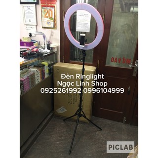Đèn Led Ring light livestream