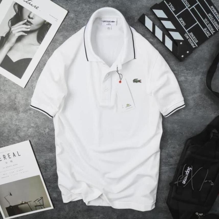 Áo Phông Nam Lacoste / Áo Thun Nam PoLo Cá Sấu Có Cổ