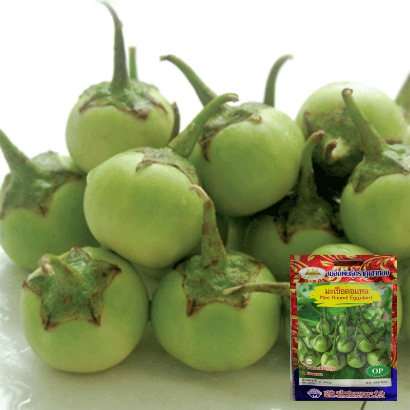 Hạt giống Cà Pháo Xanh Nhập Khẩu Nguyên Bao Bì Thái Lan - 300 hạt