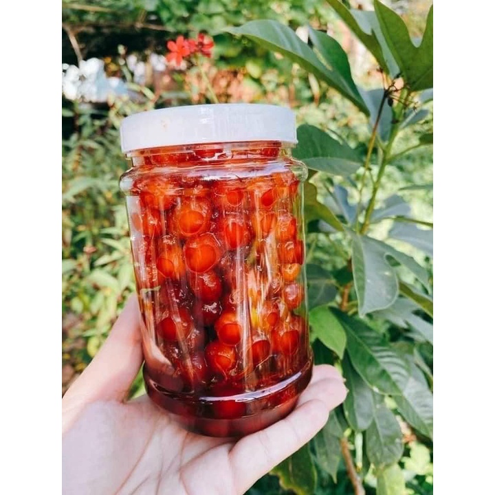 CHÙM RUỘT RIM NGỌT HỘP 500GR CHUẨN VỊ QUÊ