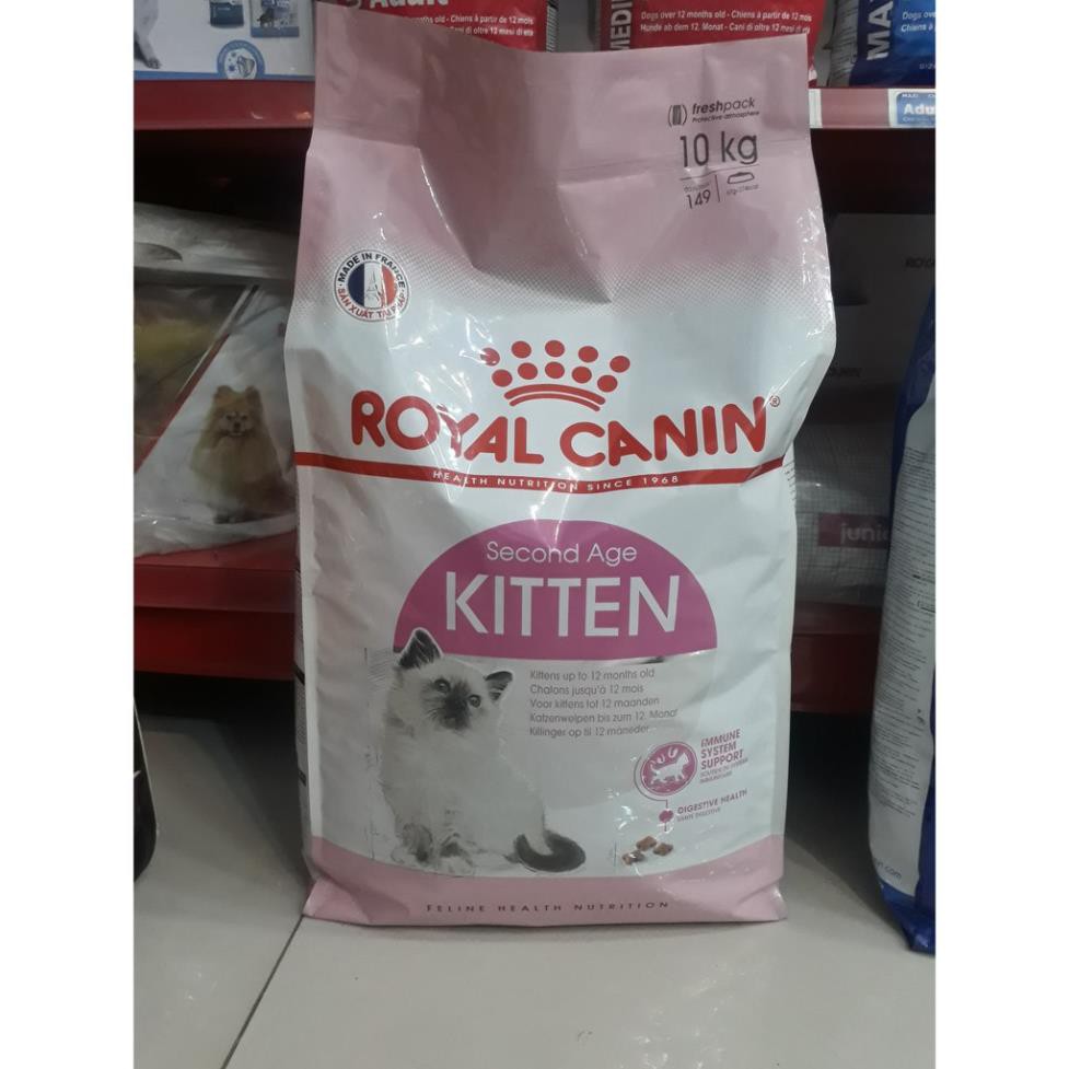 Hạt ROYAL CANIN KITTEN BAO 10KG