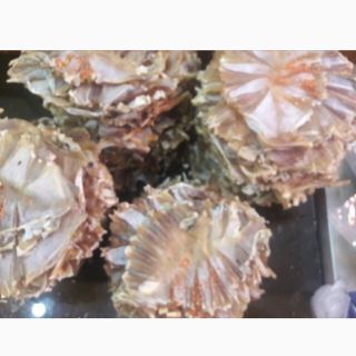 Cá đuối khô tẩm và ko tẩm