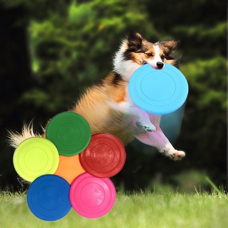 Đồ chơi đĩa bay huấn luyện chó mèo