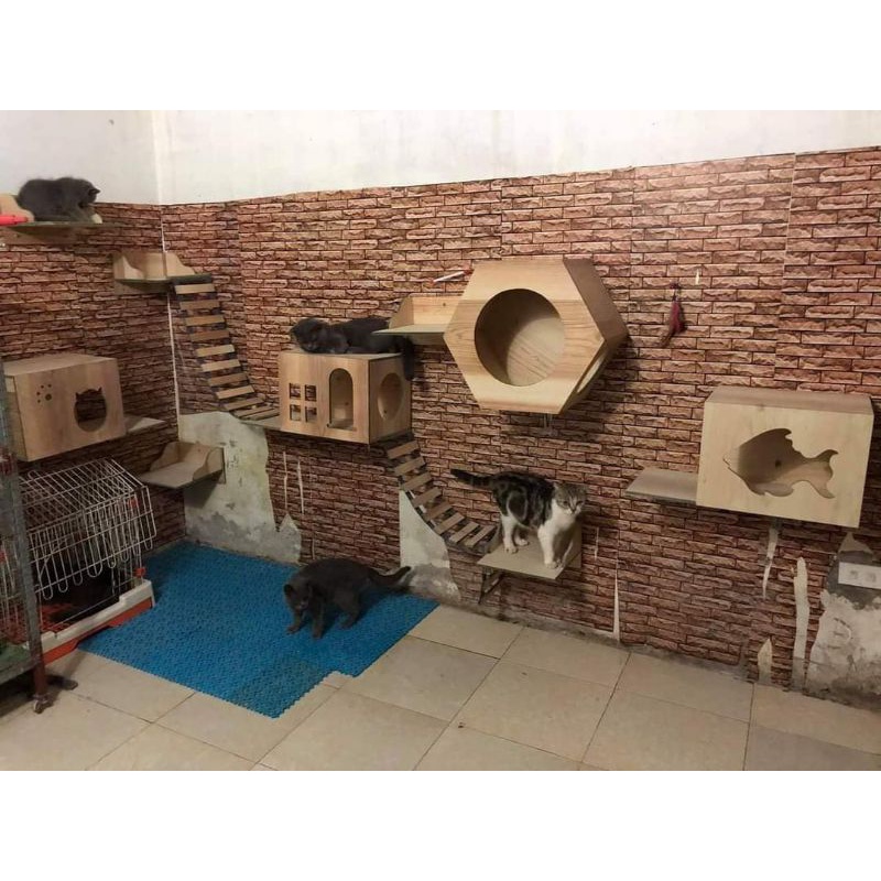 Cattree treo tường cho mèo chất gỗ đẹp
