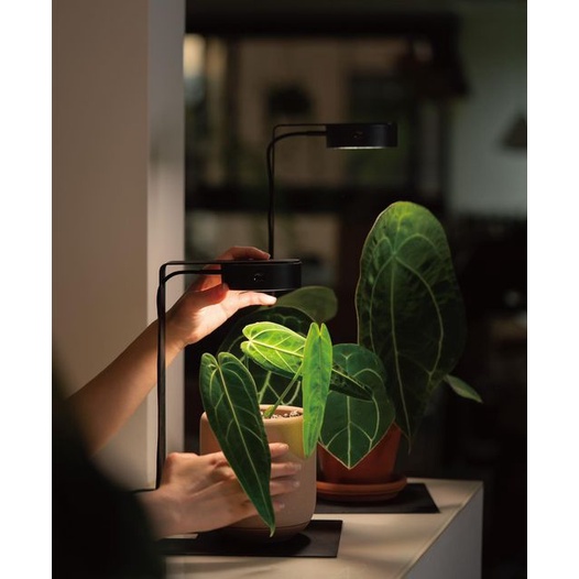 ONF - Mist O LED Magnetic Plant Light | Đèn LED mini trồng cây bán cạn, bonsai, cây thủy sinh trong hồ cá