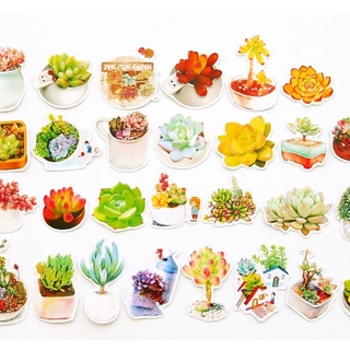 Bộ sticker chủ đề cấy hoa củ và Sticker Doremon 28 đến 40 sticker