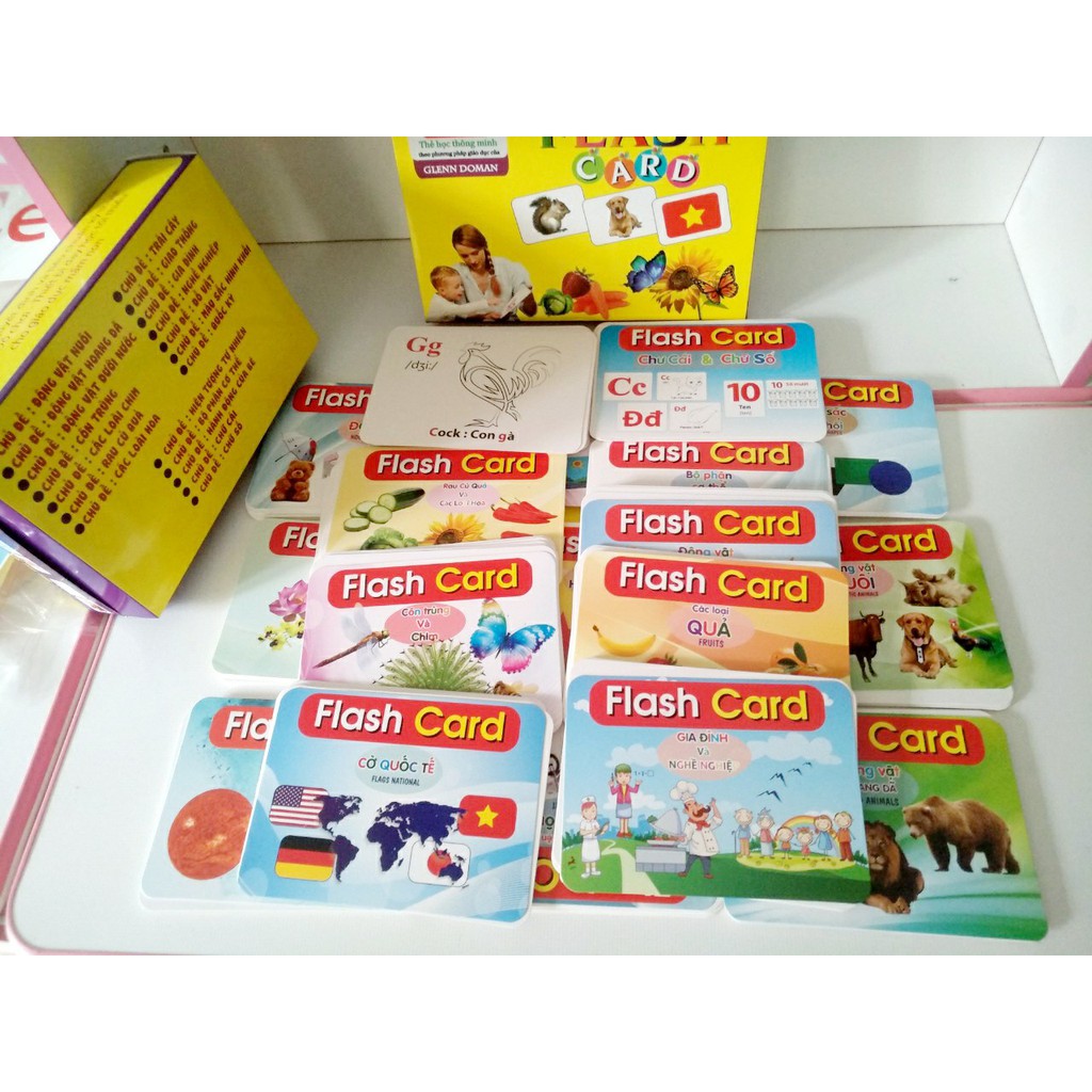 [THẺ SIZE TO] Bộ Thẻ Học Thông Minh 19 Chủ Đề song ngữ loại chuẩn Glenn Doman Flashcard phát triển tư duy cho bé