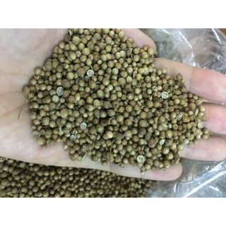 100g hạt mùi hạt ngò