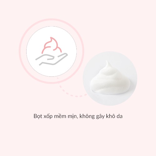 ( Mypham35 ) Sữa rửa mặt giúp dưỡng ẩm cho da thường và da khô Laneige Moist Cream Cleanser 50Ml