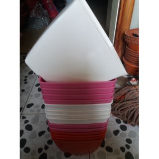 Chậu vuông 16cm