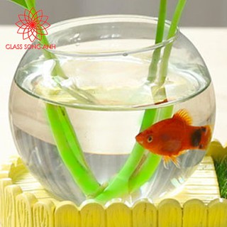 Bể cá mini tròn để bàn, chậu thủy tinh trồng cây thủy sinh, chậu thủy tinh trang trí T07