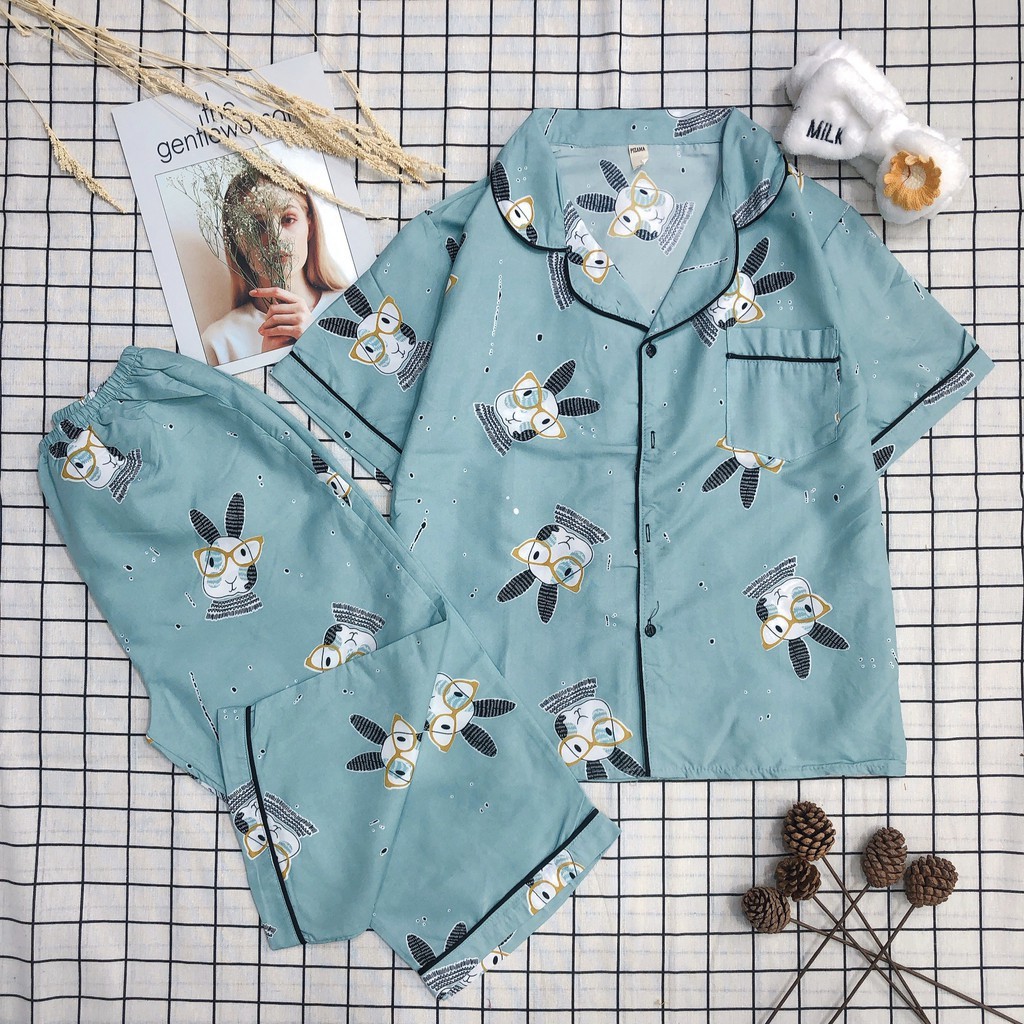 HZ Bộ Pijama Ngố Tay Ngắn Quần Lửng 11 12