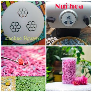 Khuôn nui hoa dùng cho máy làm mì Philips