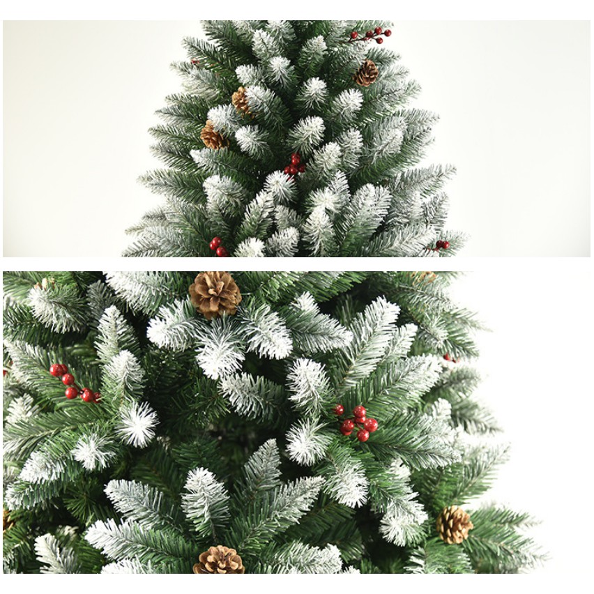 Cây thông tuyết có quả cao 180cm hàng cao cấp dày đẹp C5