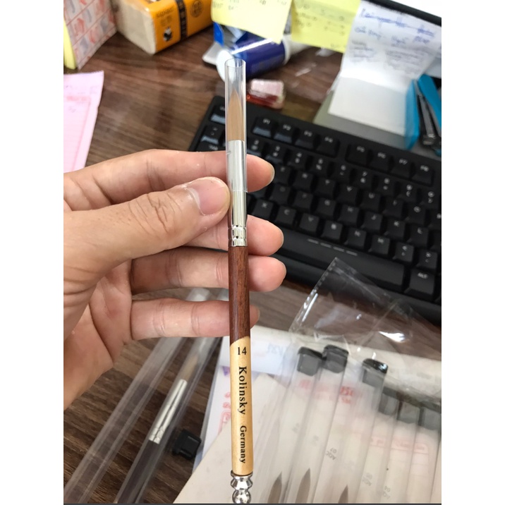 Cọ Gỗ Đắp Bột KoLinsKy