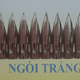 Ngòi bút máy ( ngòi trắng)